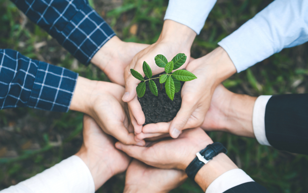 The Key to Sustainable Business Transformation 1